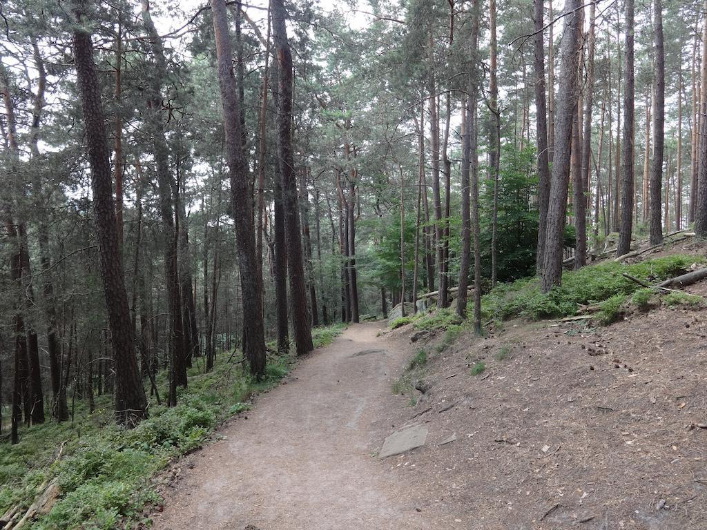 Landgasthof Jaegerstuebchen Neustadt an der Weinstraße 외부 사진