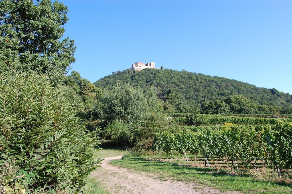 Landgasthof Jaegerstuebchen Neustadt an der Weinstraße 외부 사진