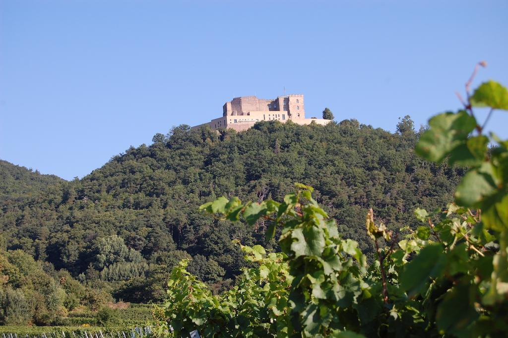 Landgasthof Jaegerstuebchen Neustadt an der Weinstraße 외부 사진